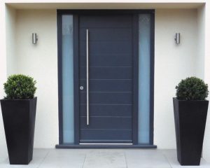 Vhodna vrata Protech